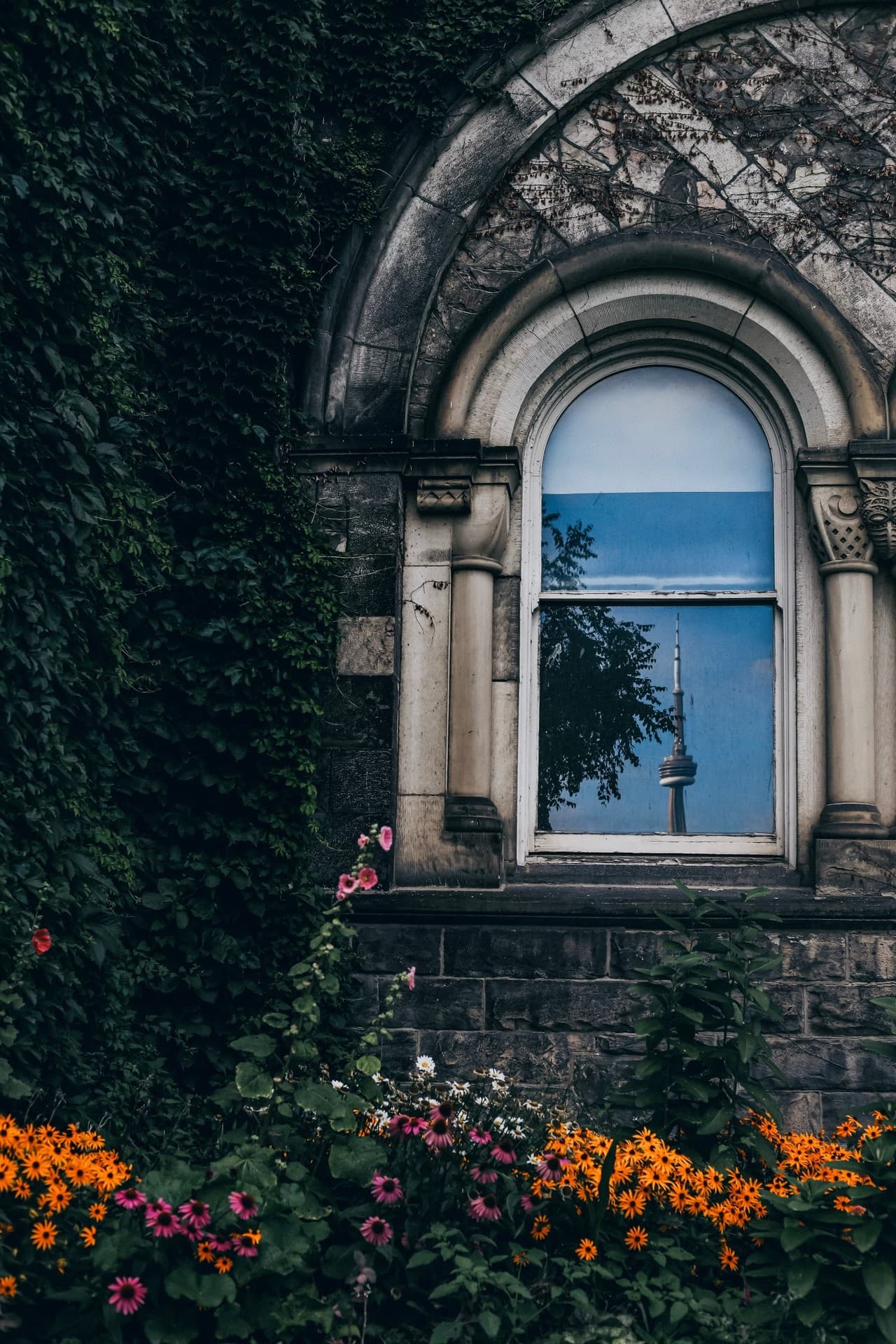 Green window