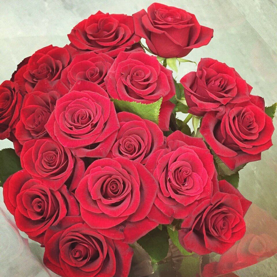Roses
