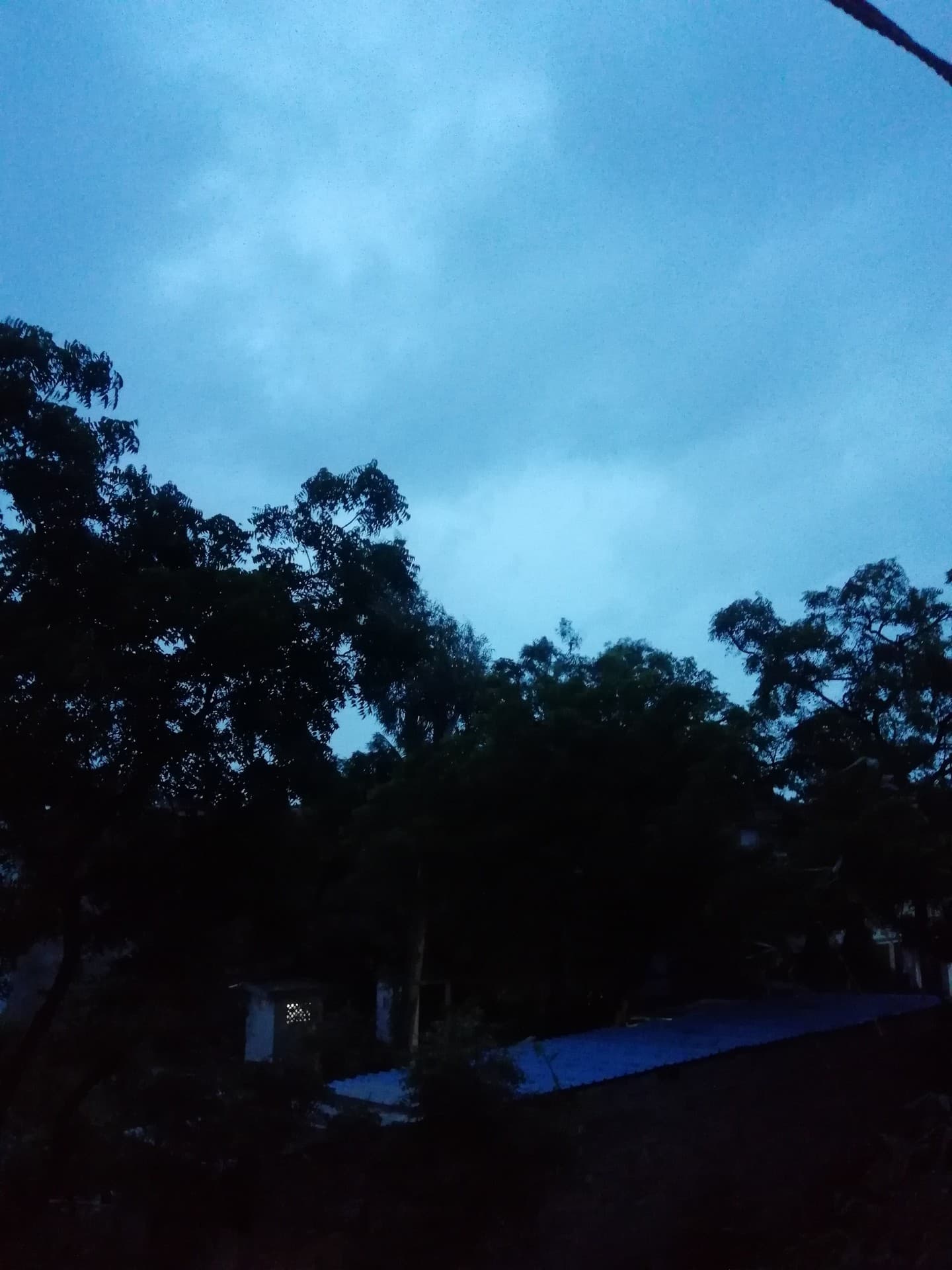 Nature