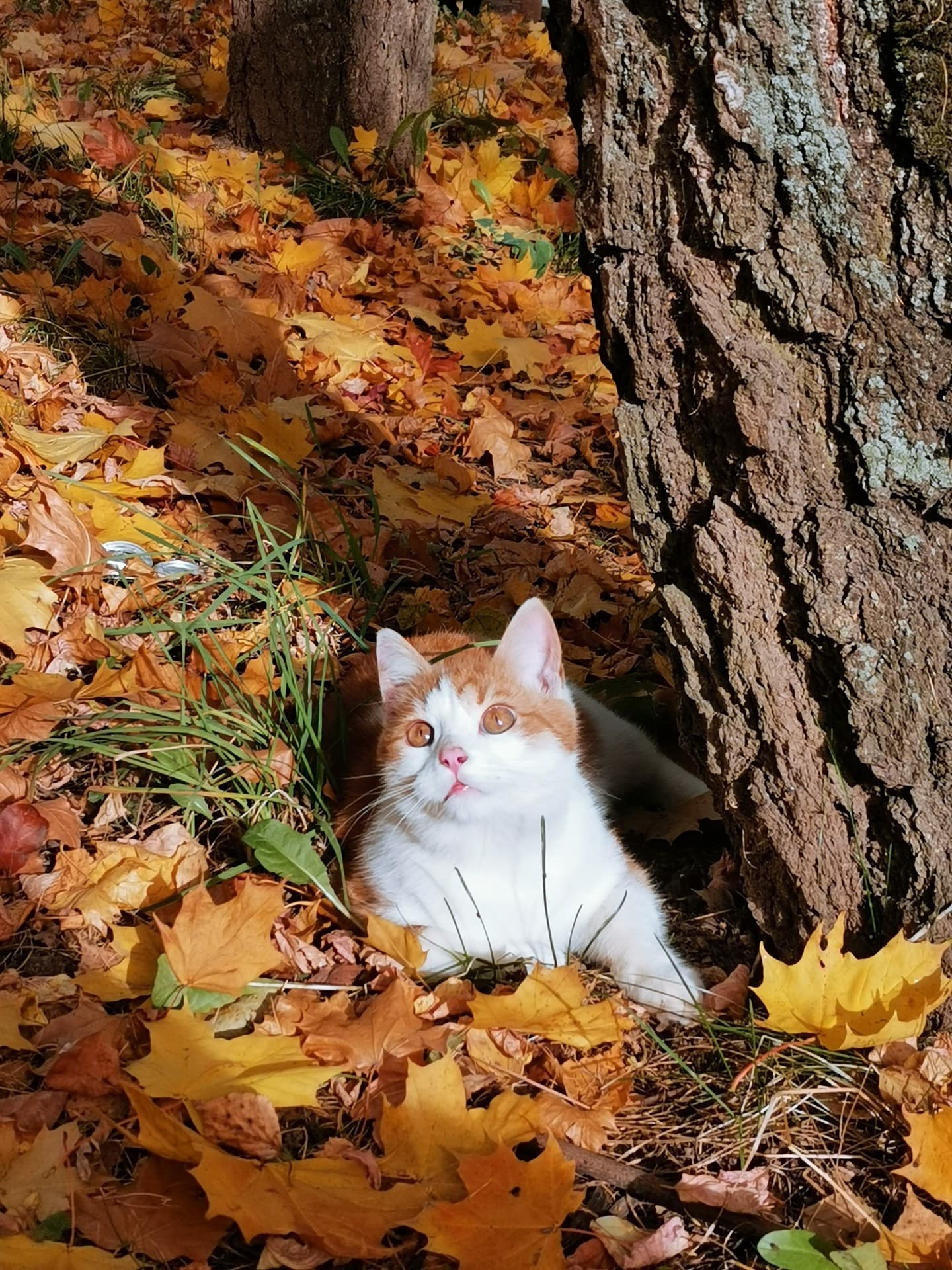 ~