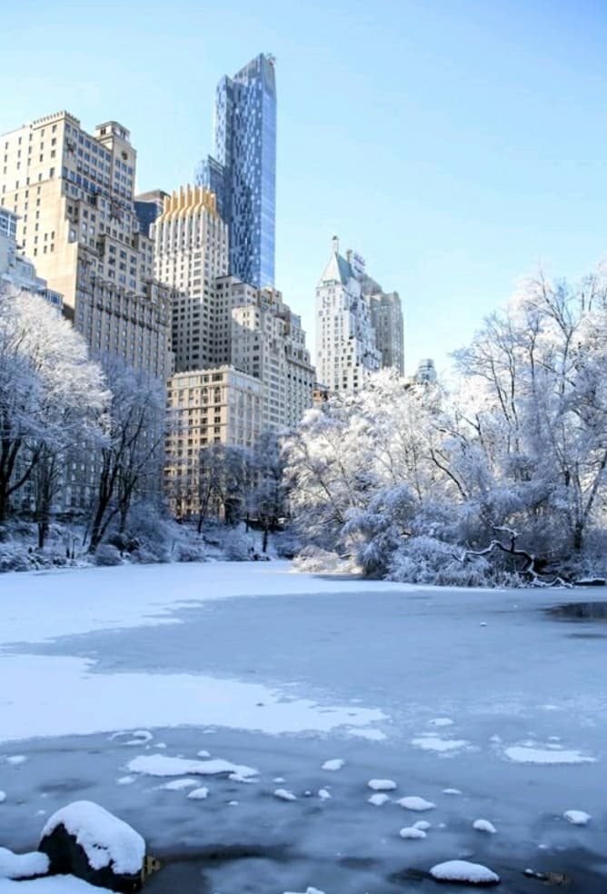 frozenlake