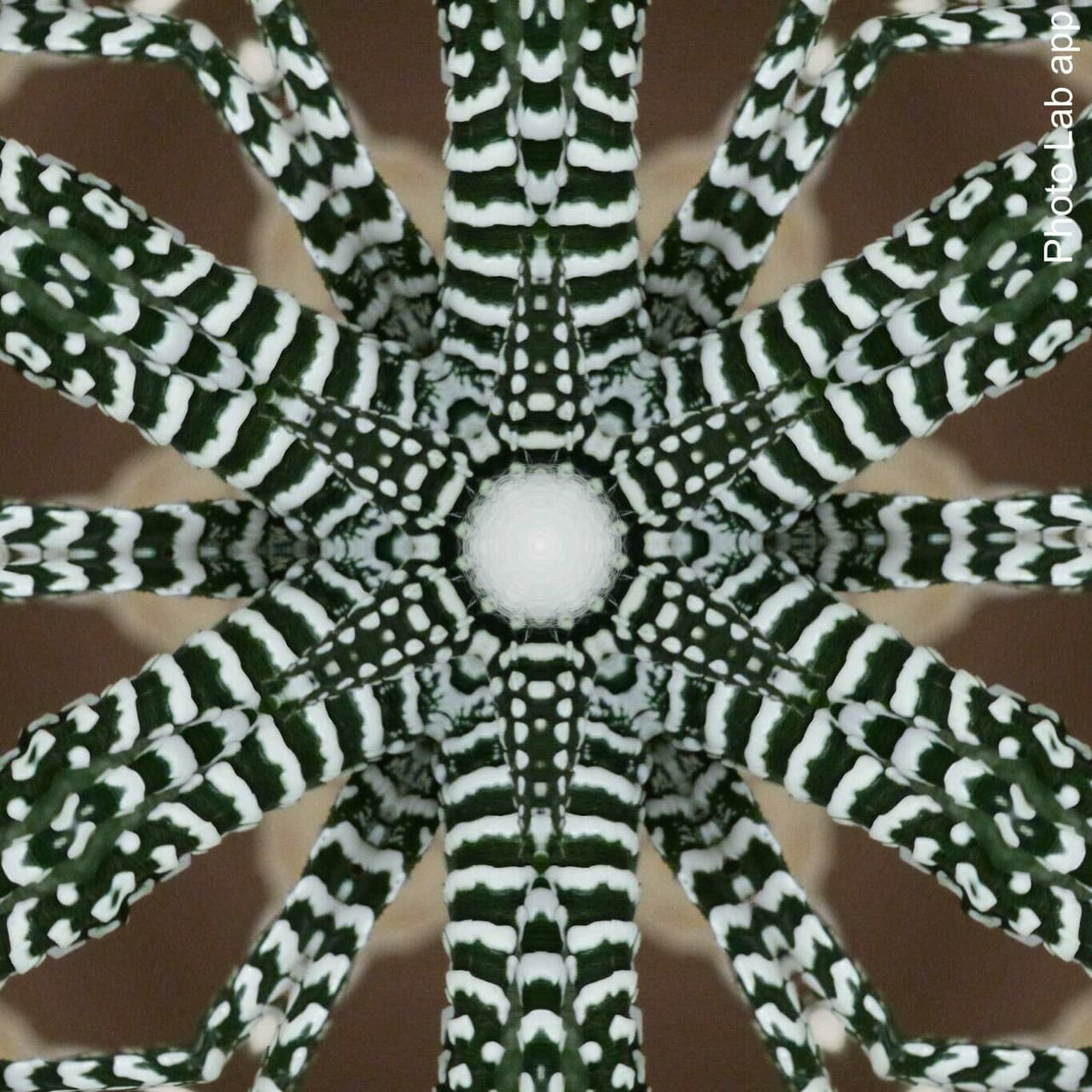 Kaleidoskop