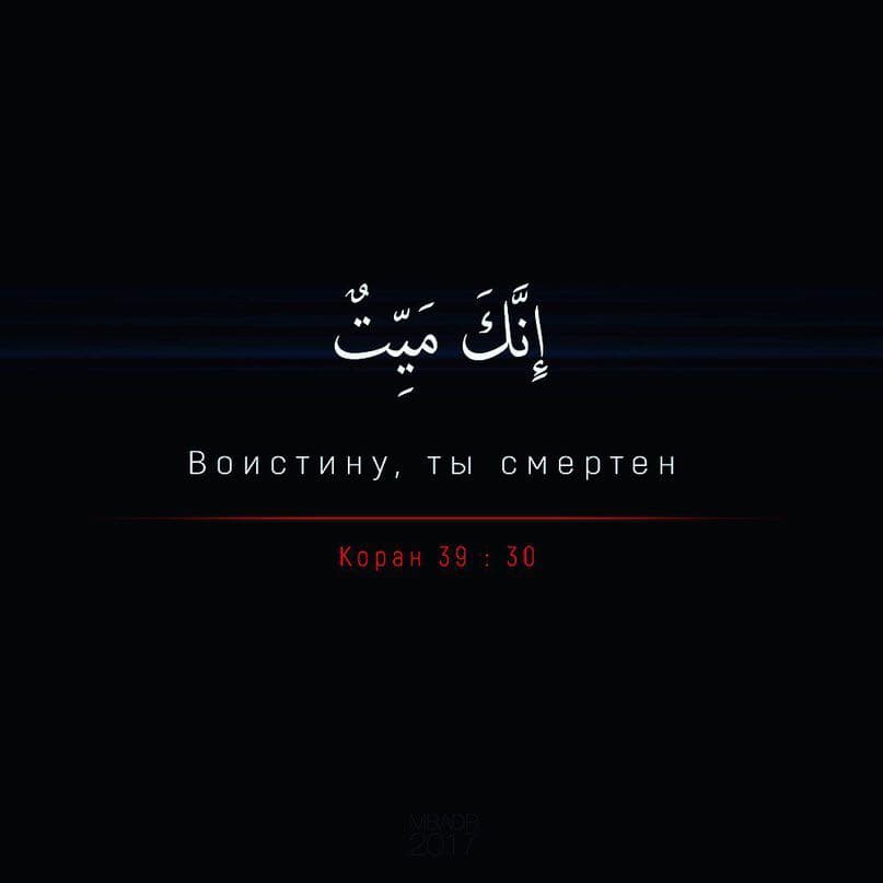 Срок
