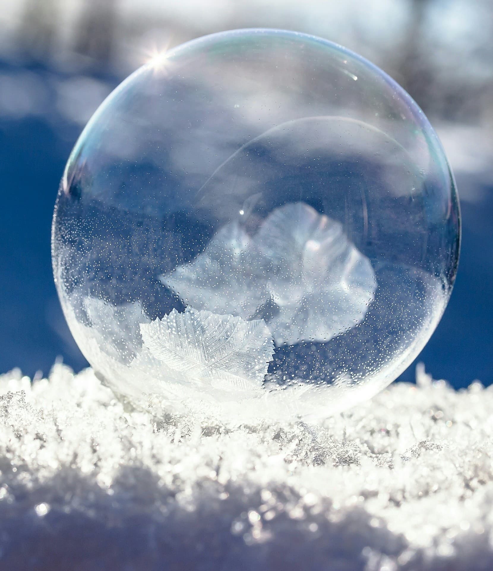 beautiful snow