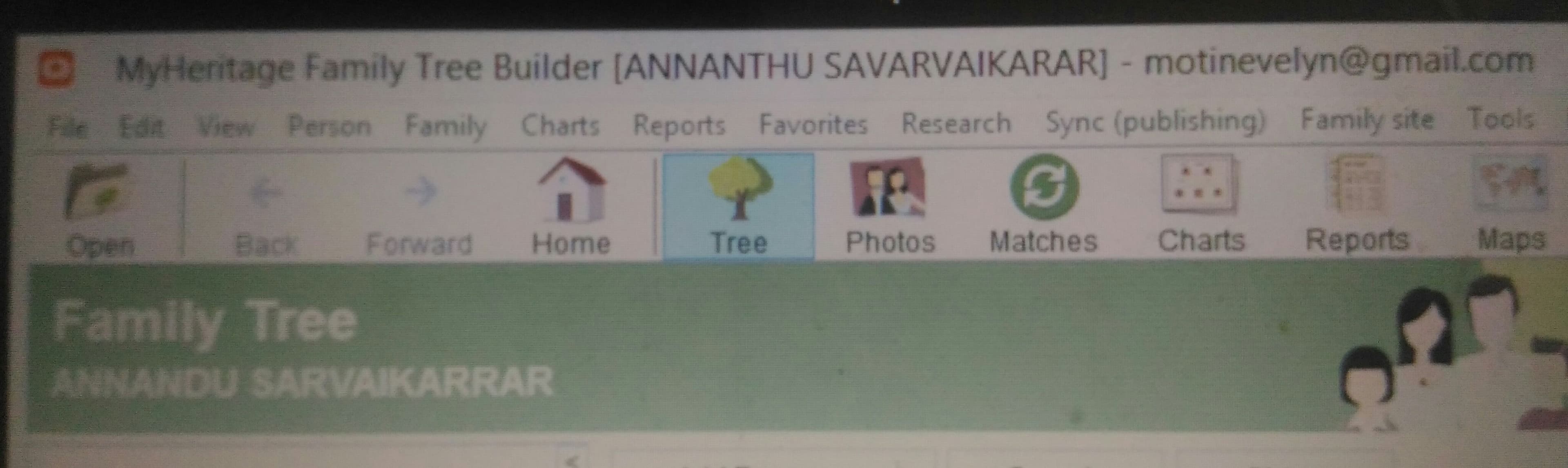 jamilt tree