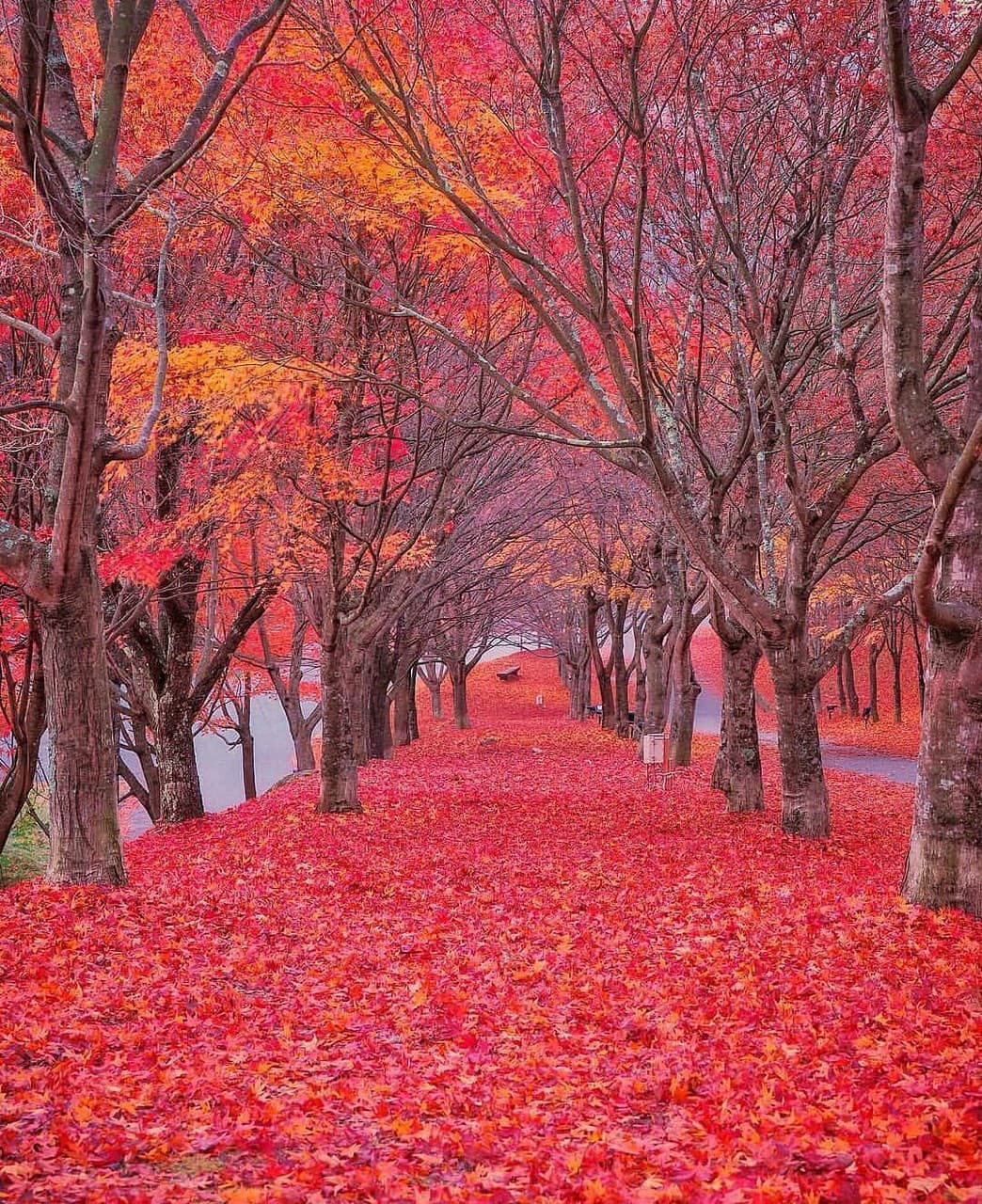 Autumn