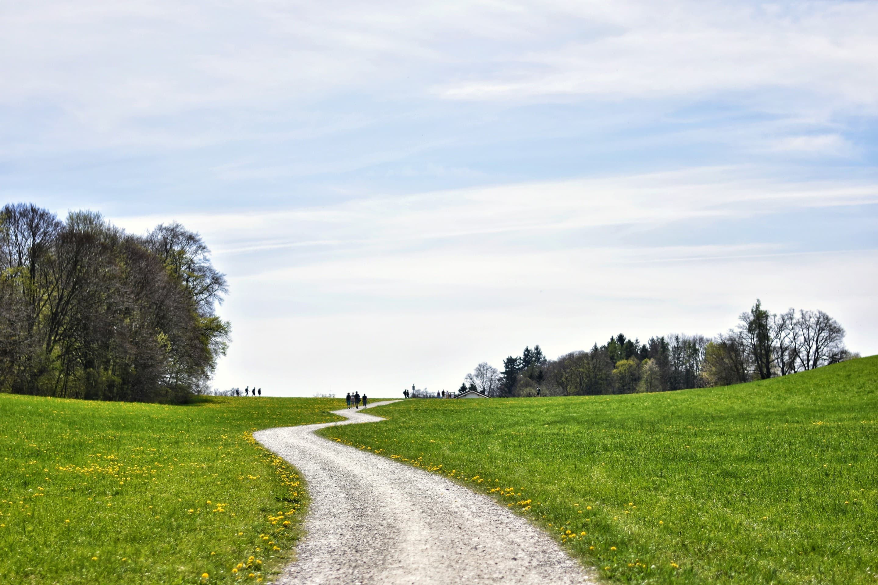 Path
