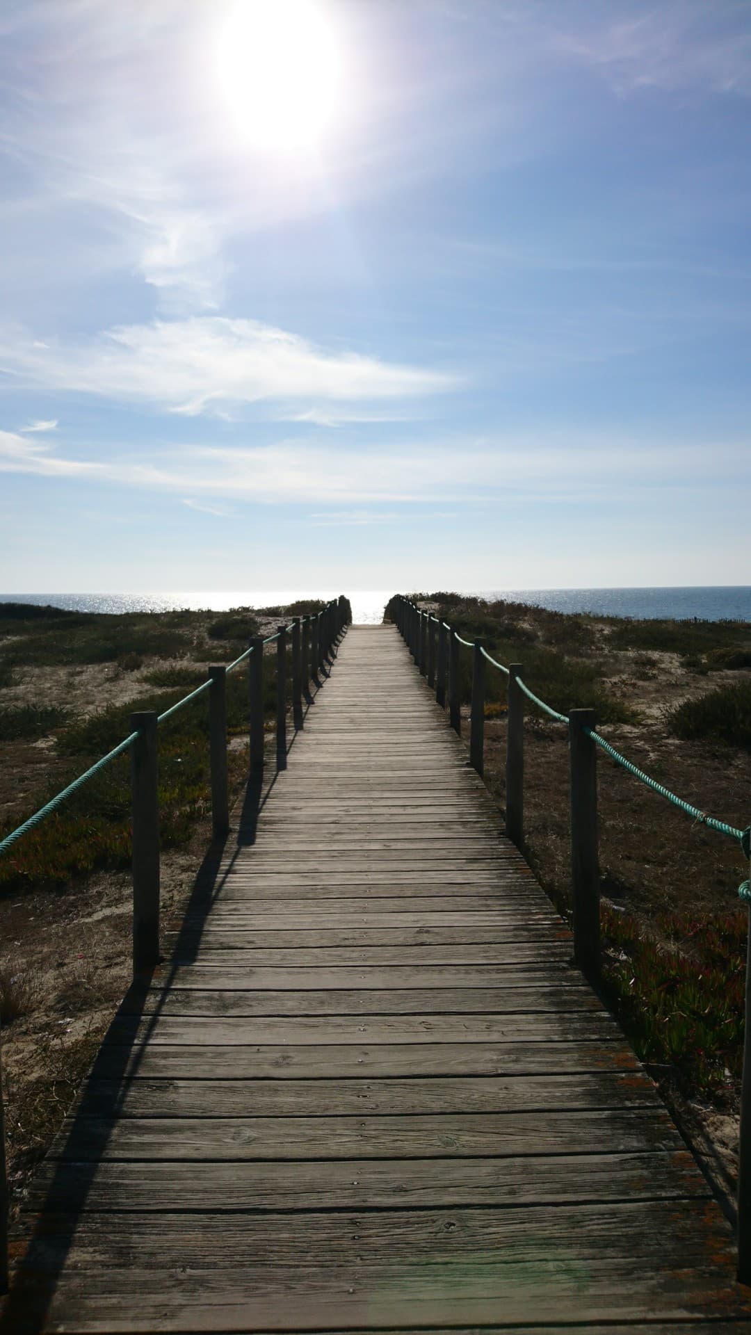 to the sea 
