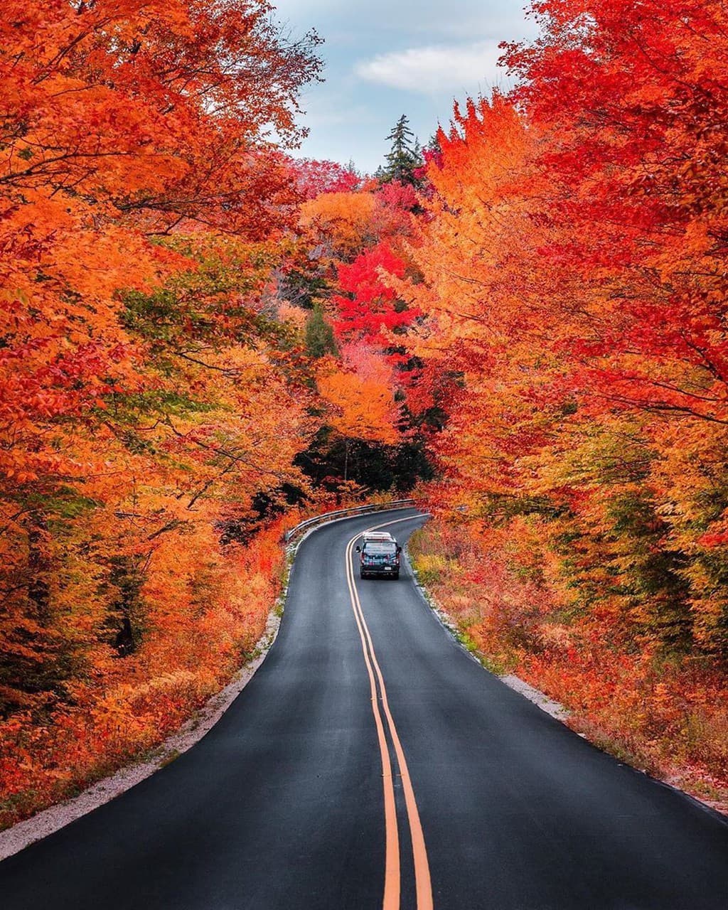 autumn road
