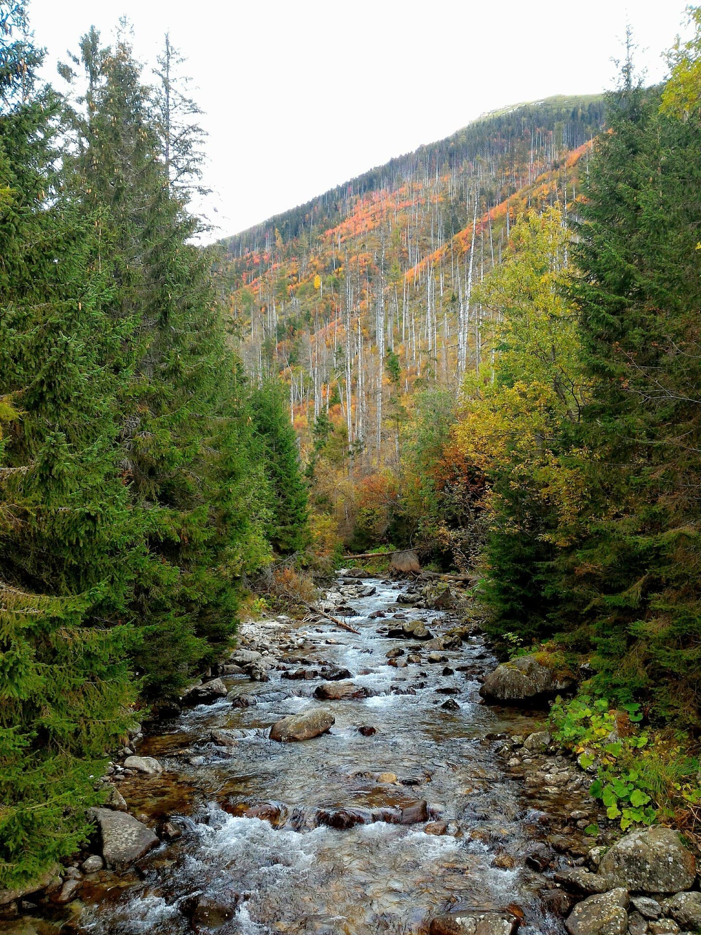 Slovak river