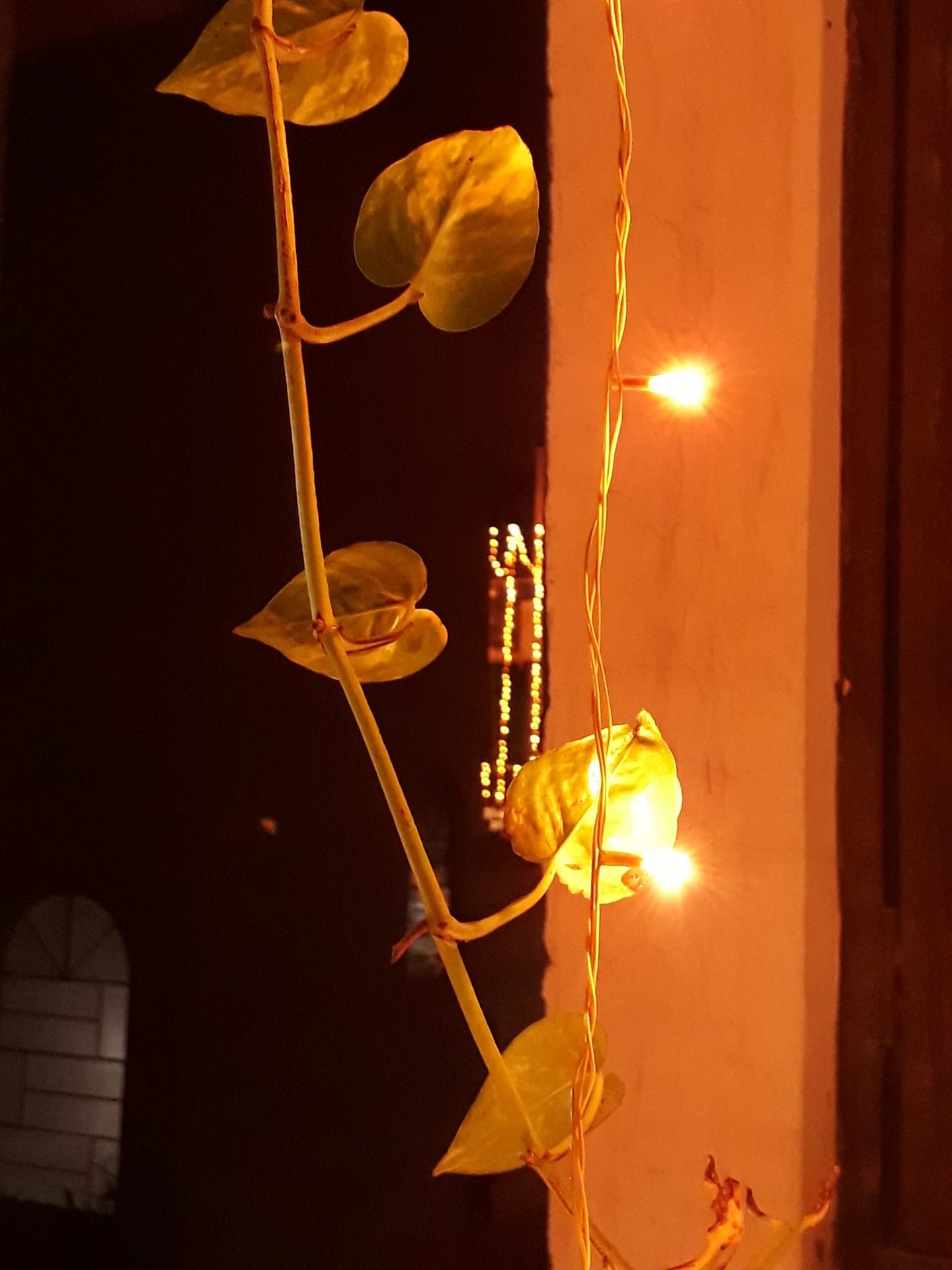 Festive lights