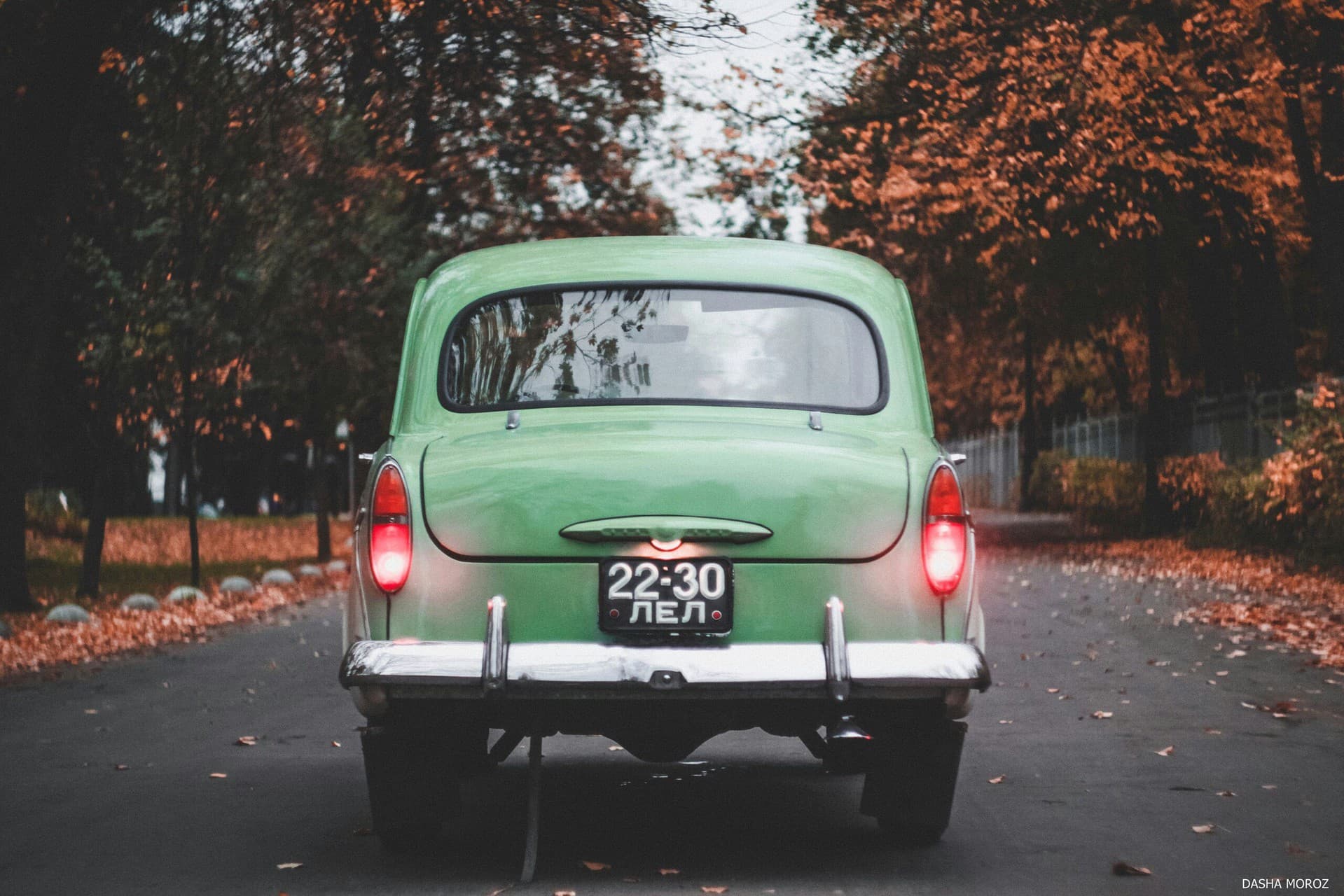 CLASSIC GREEN