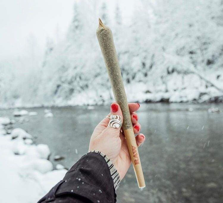weed