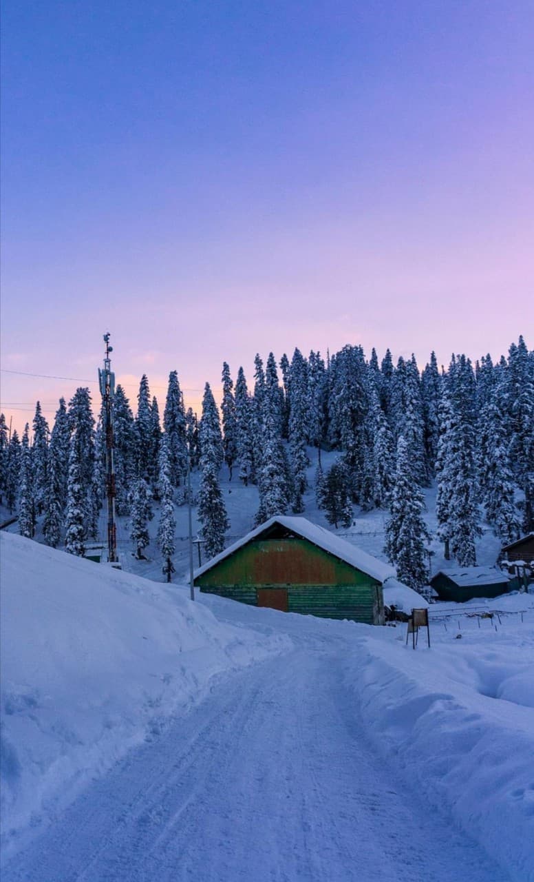 Shimla, s nature