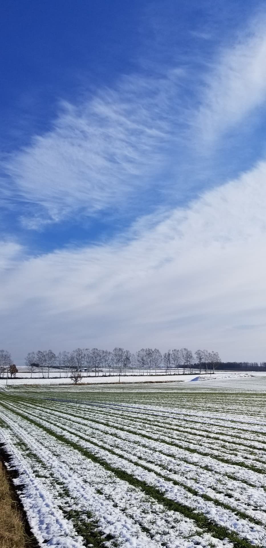 北国の雪景色