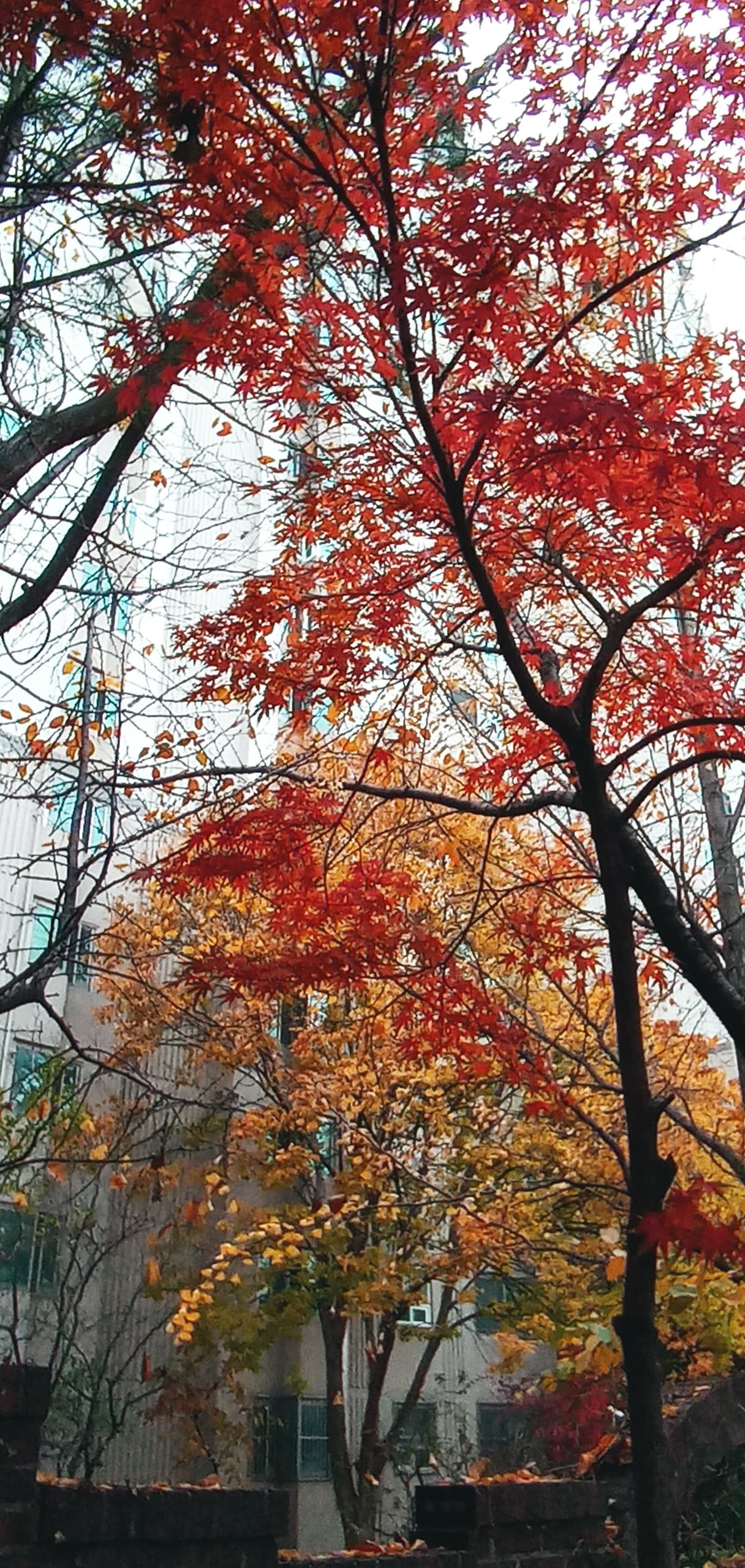 지난해 쓸쓸한 어느 가을저녁
