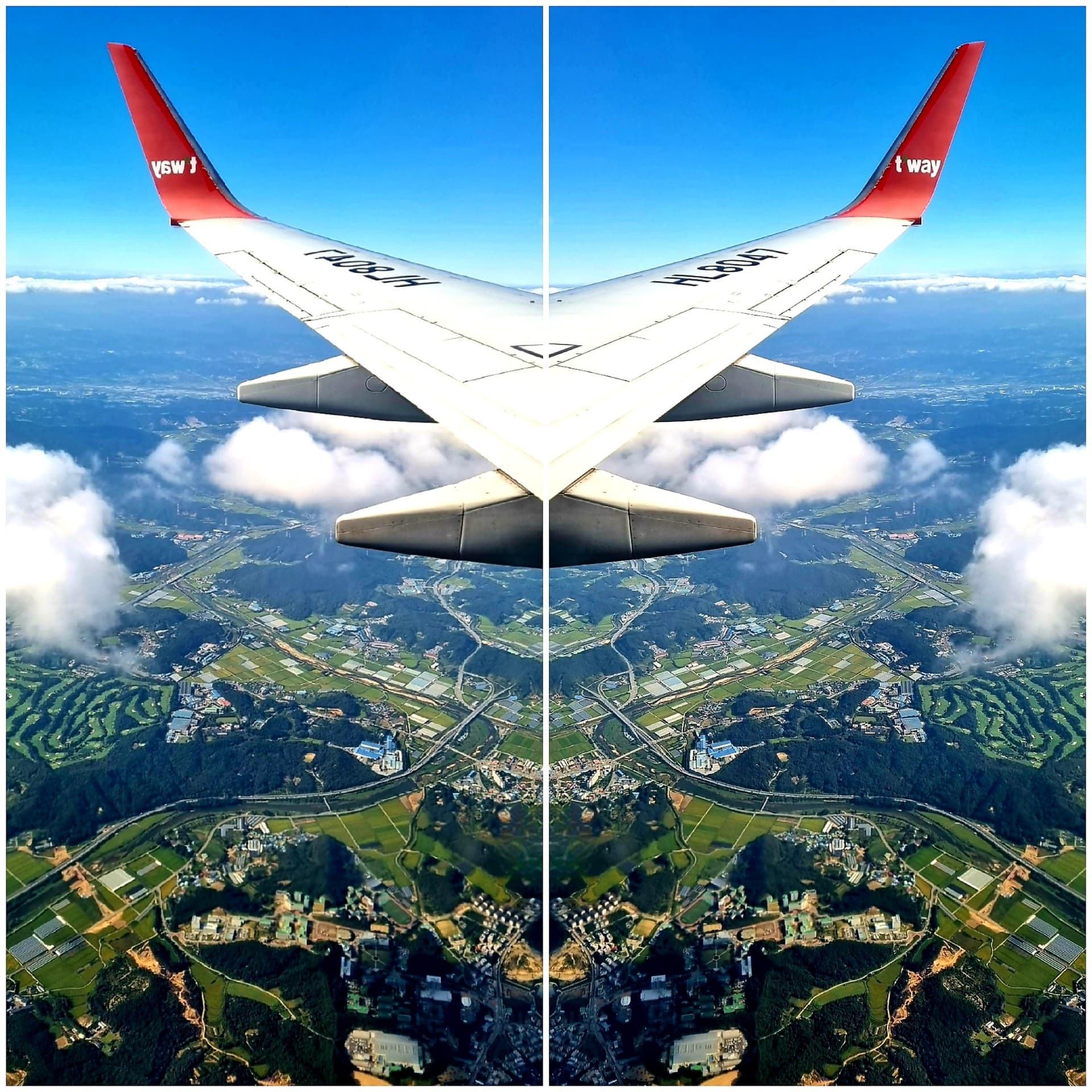 대칭