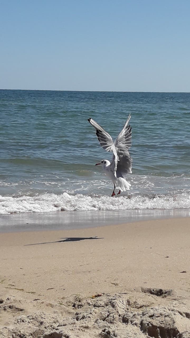 во