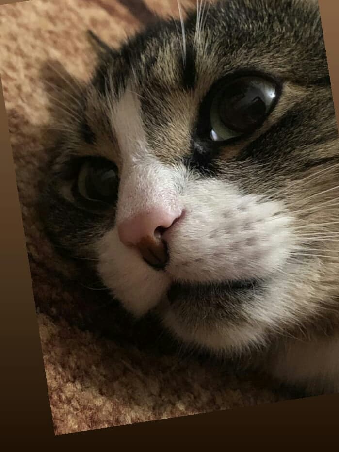 кооотиик