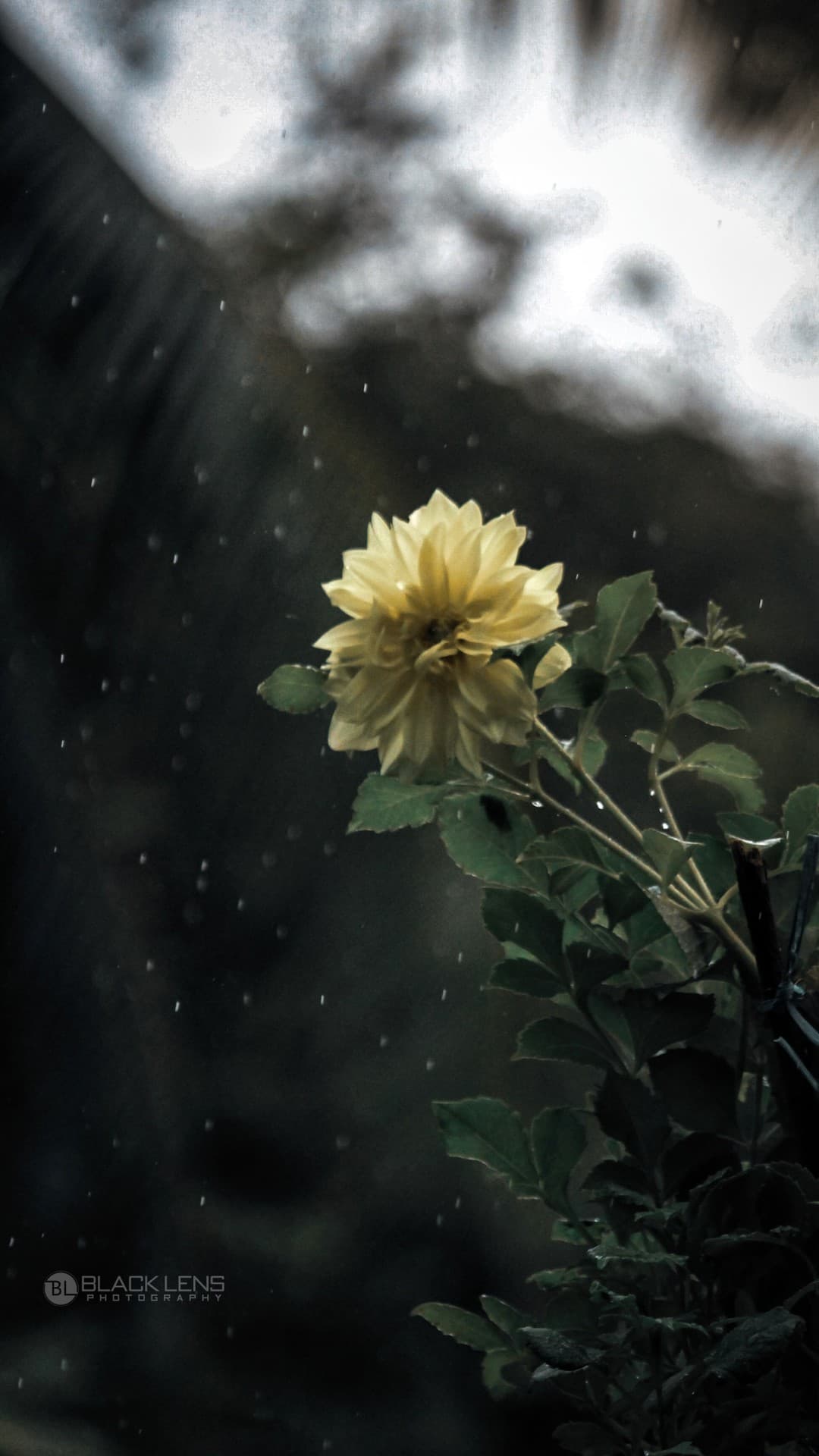 feel the rain
