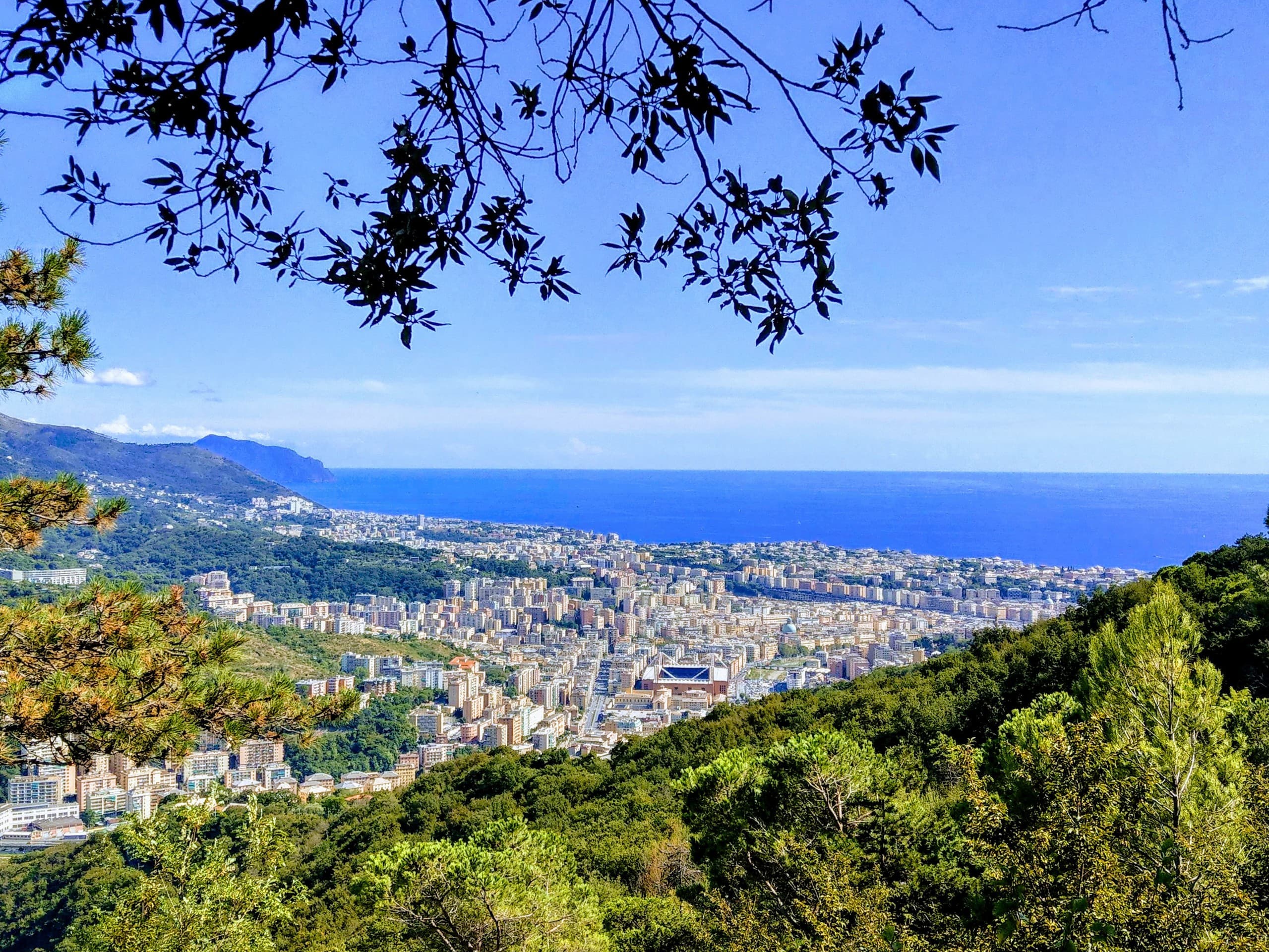 genoa