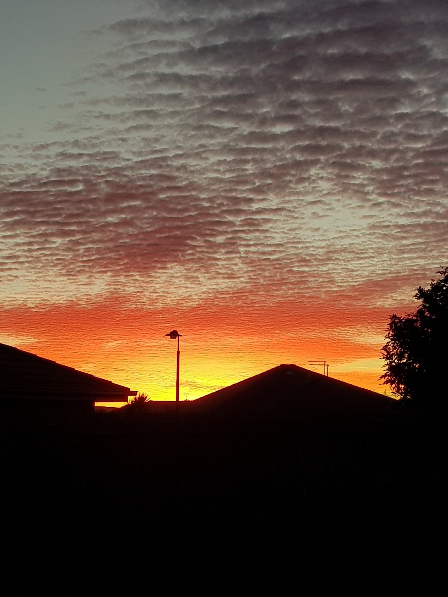 Sunset Sky