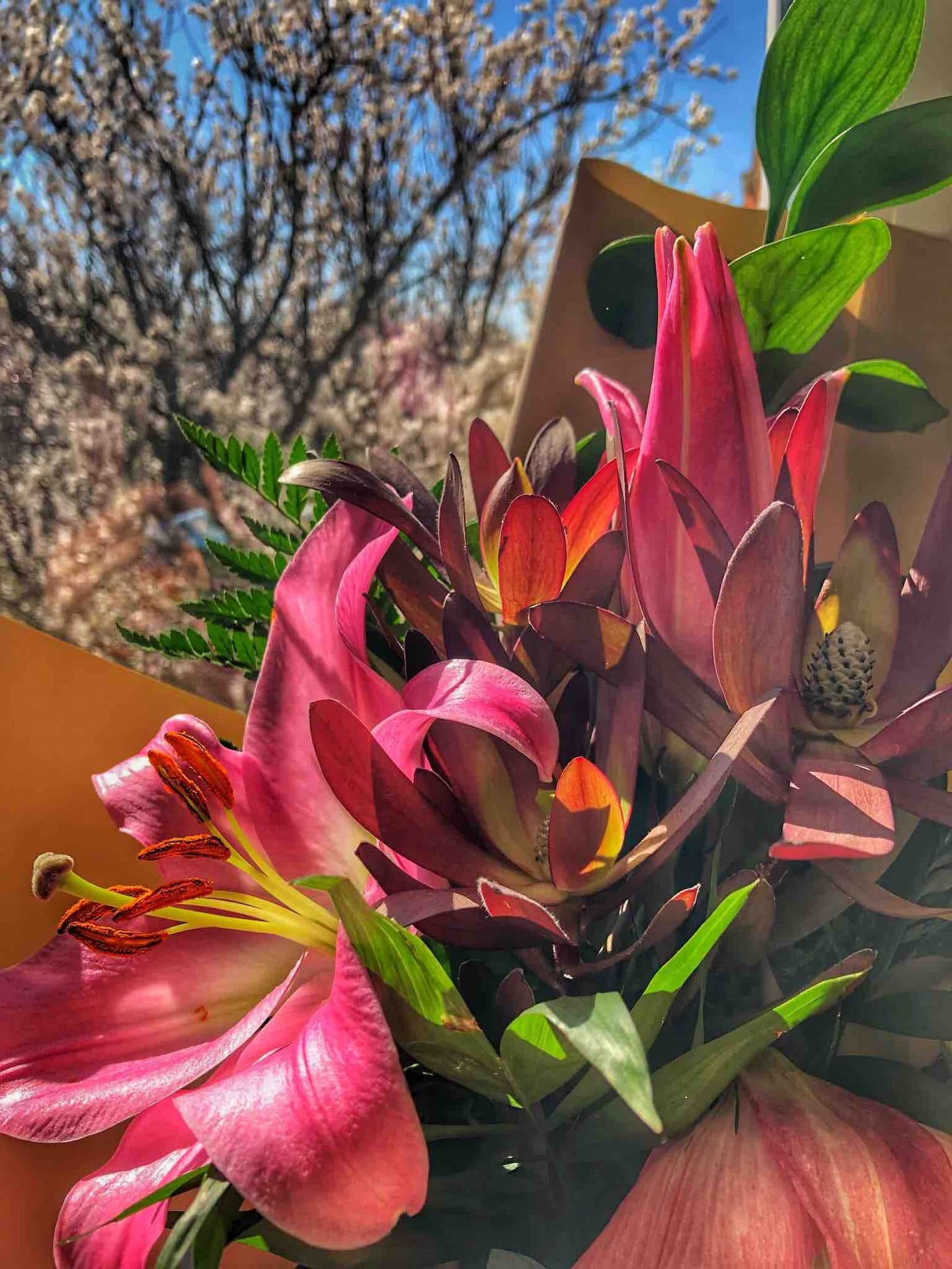Spring