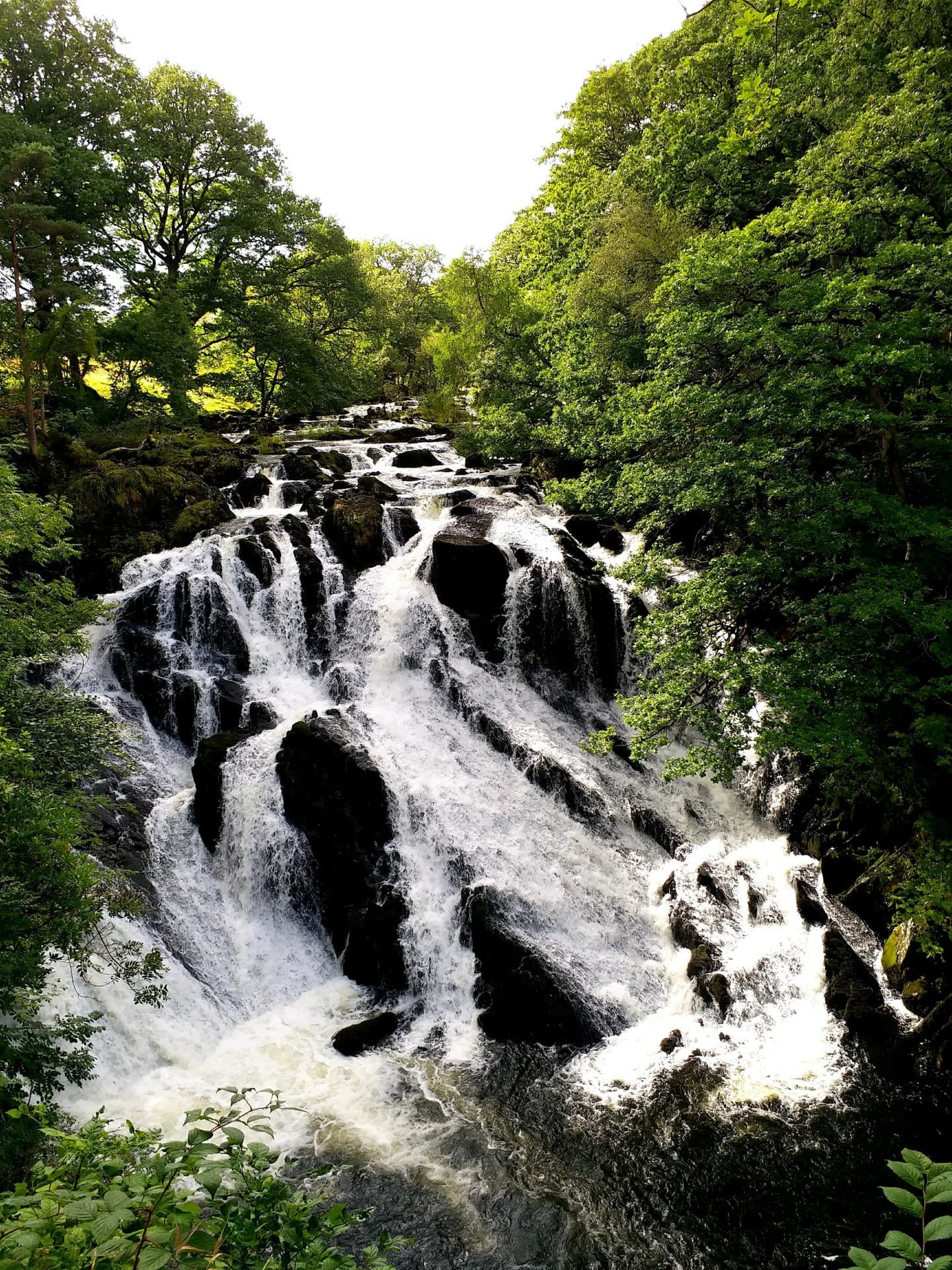 falls love