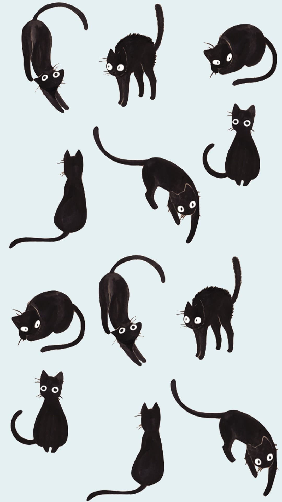 Cats