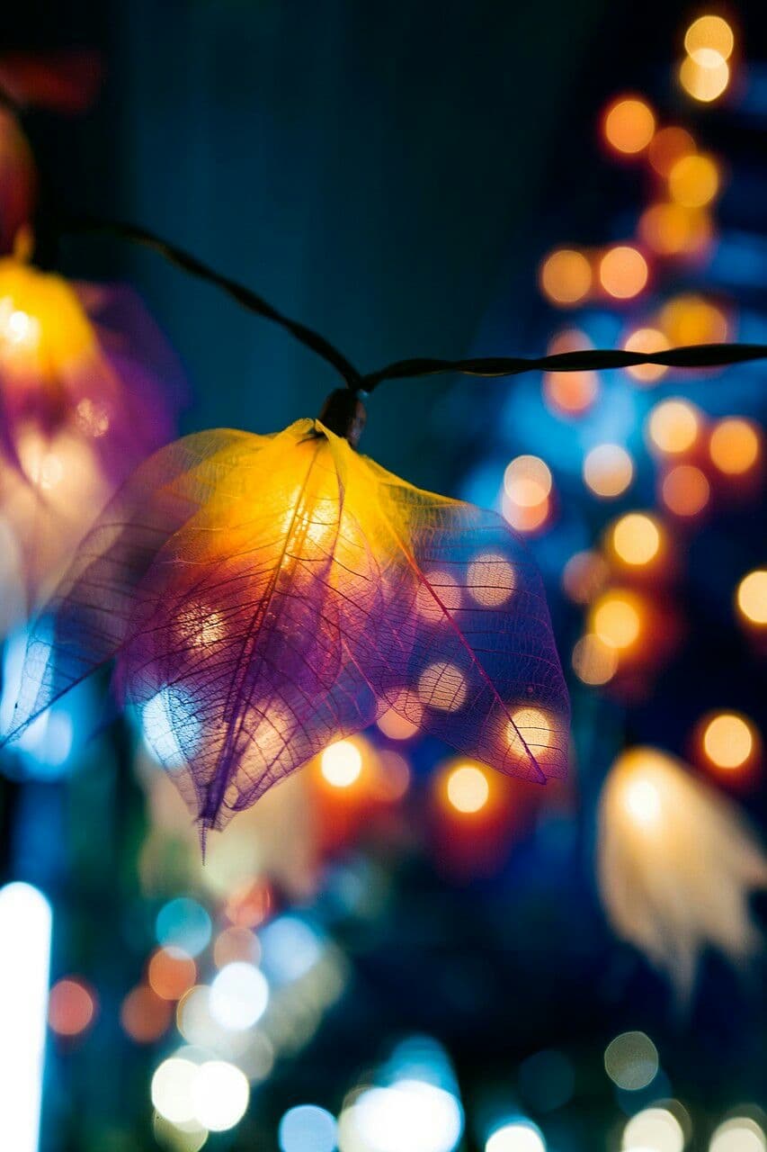 lights