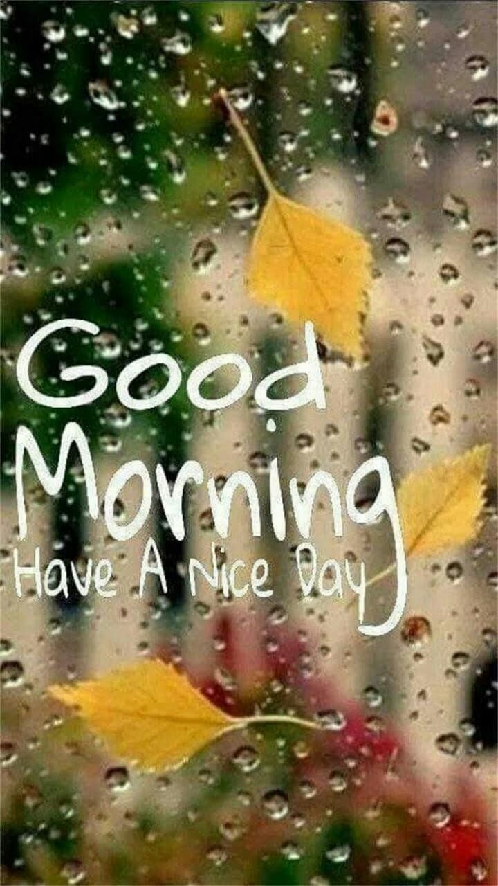 Good morning