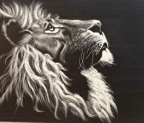 lion