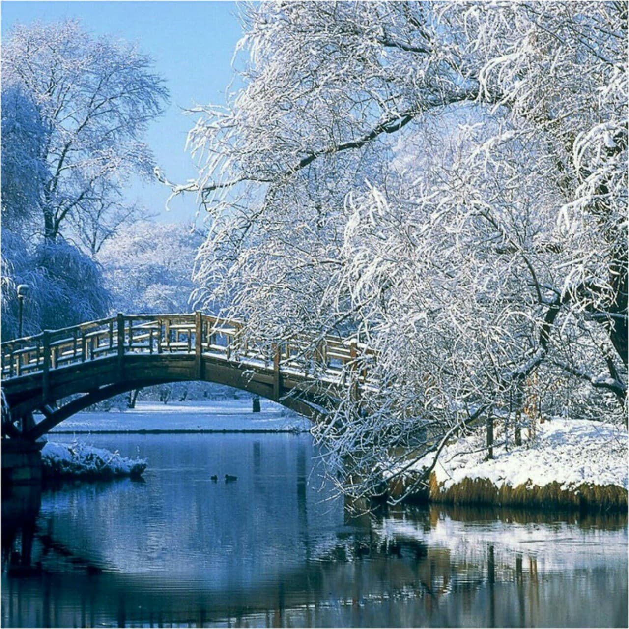 snow