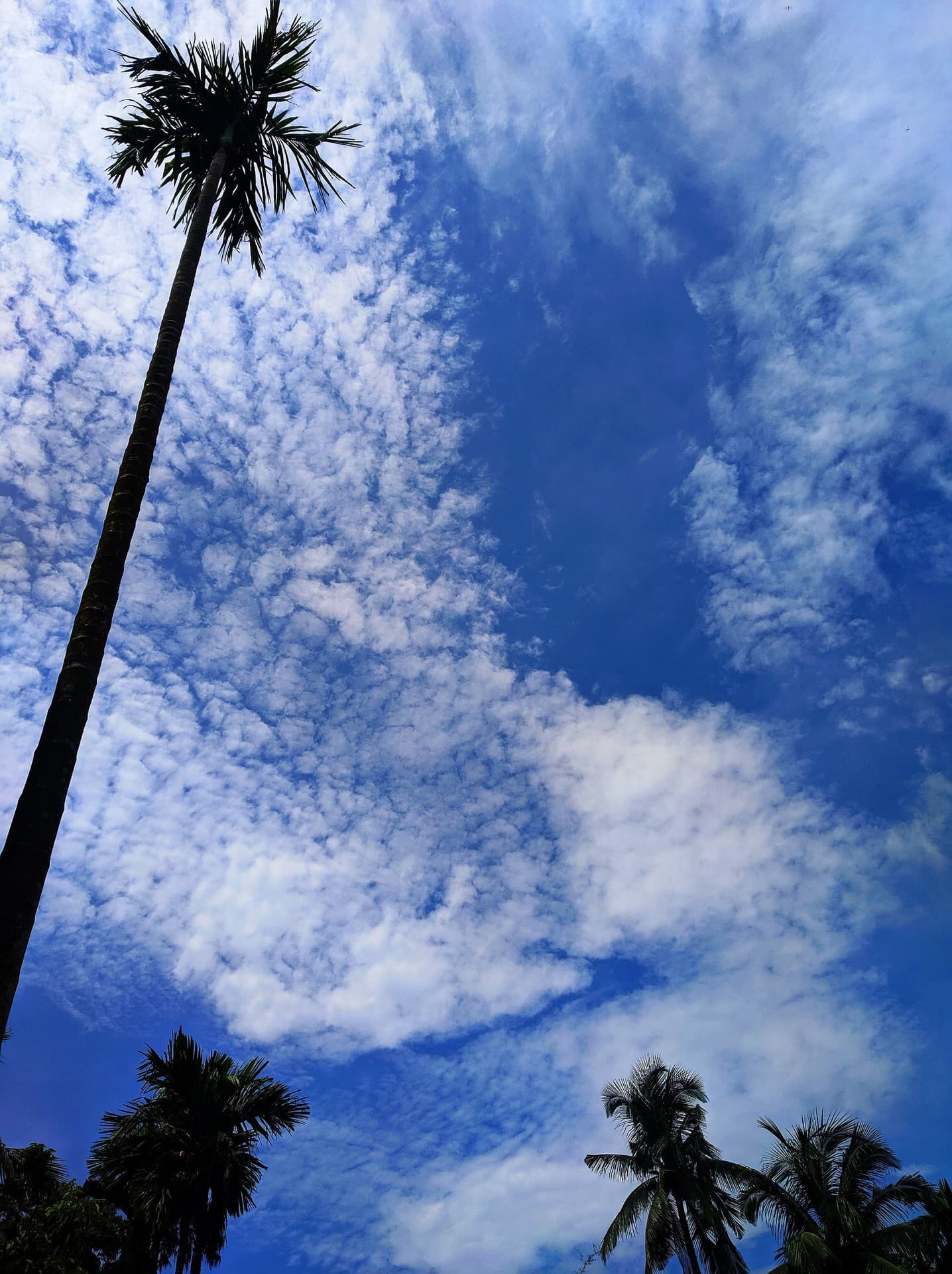 Calling sky at beautiful winter