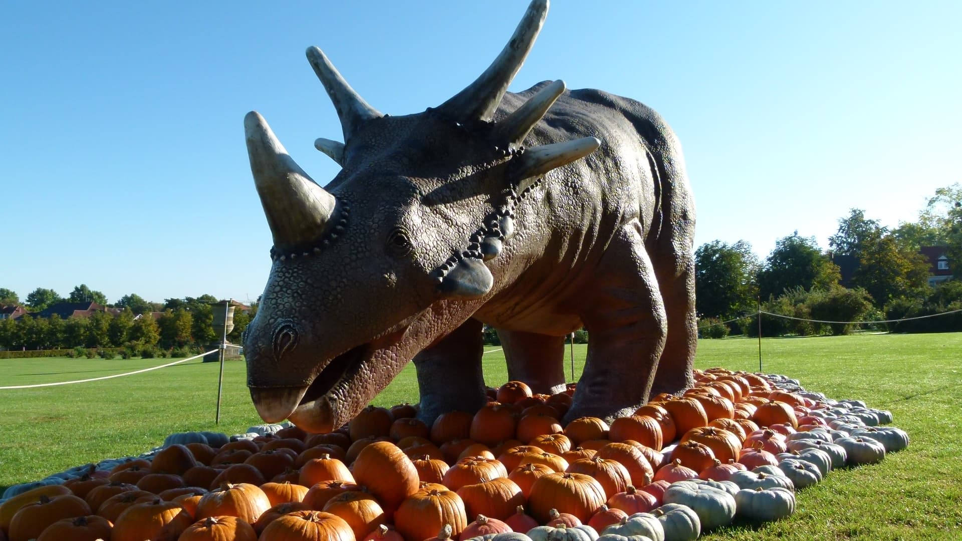 Kürbis Ausstellung Blühendes Barock Schloss Ludwigsburg 2011