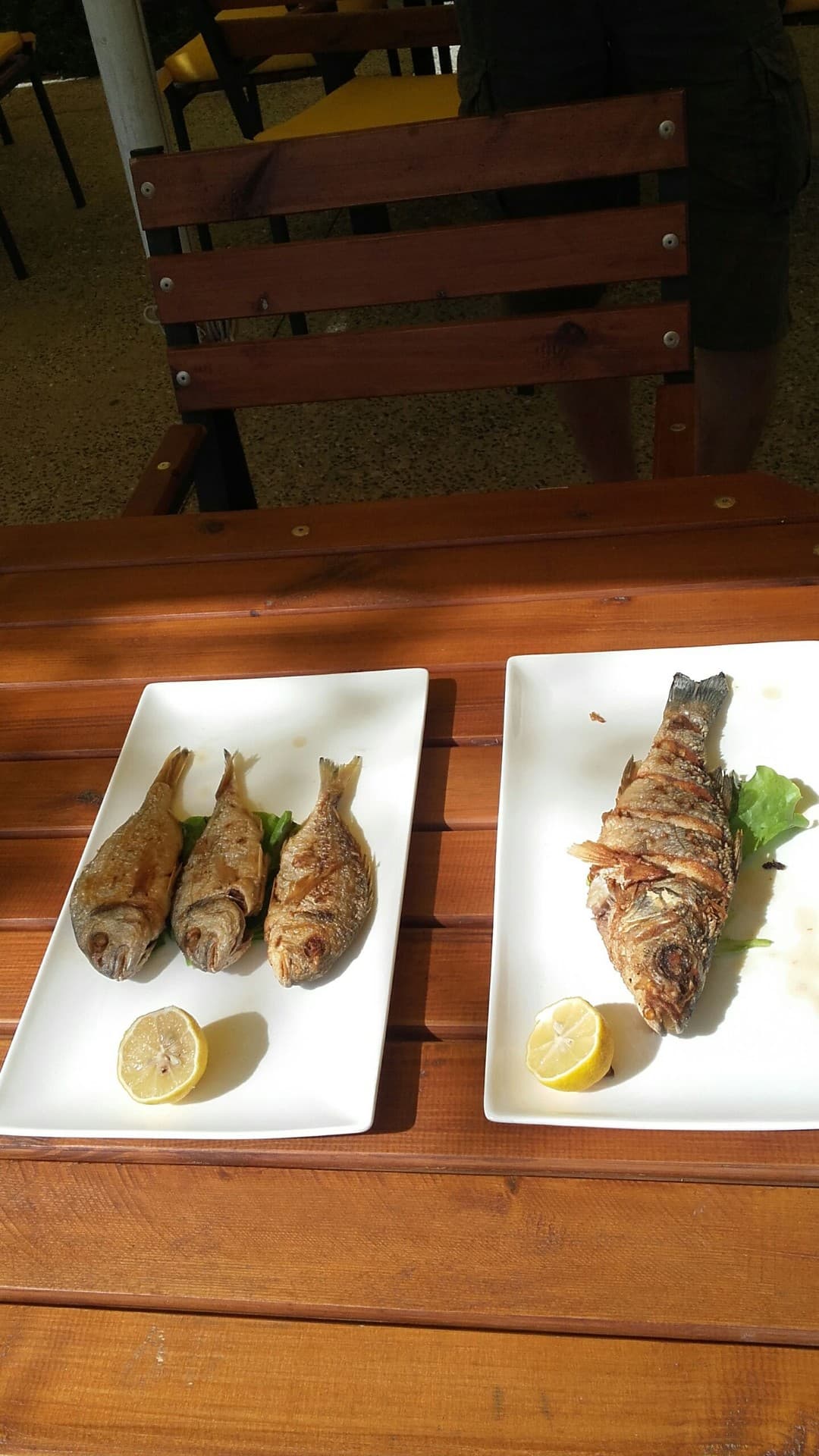 Fish
