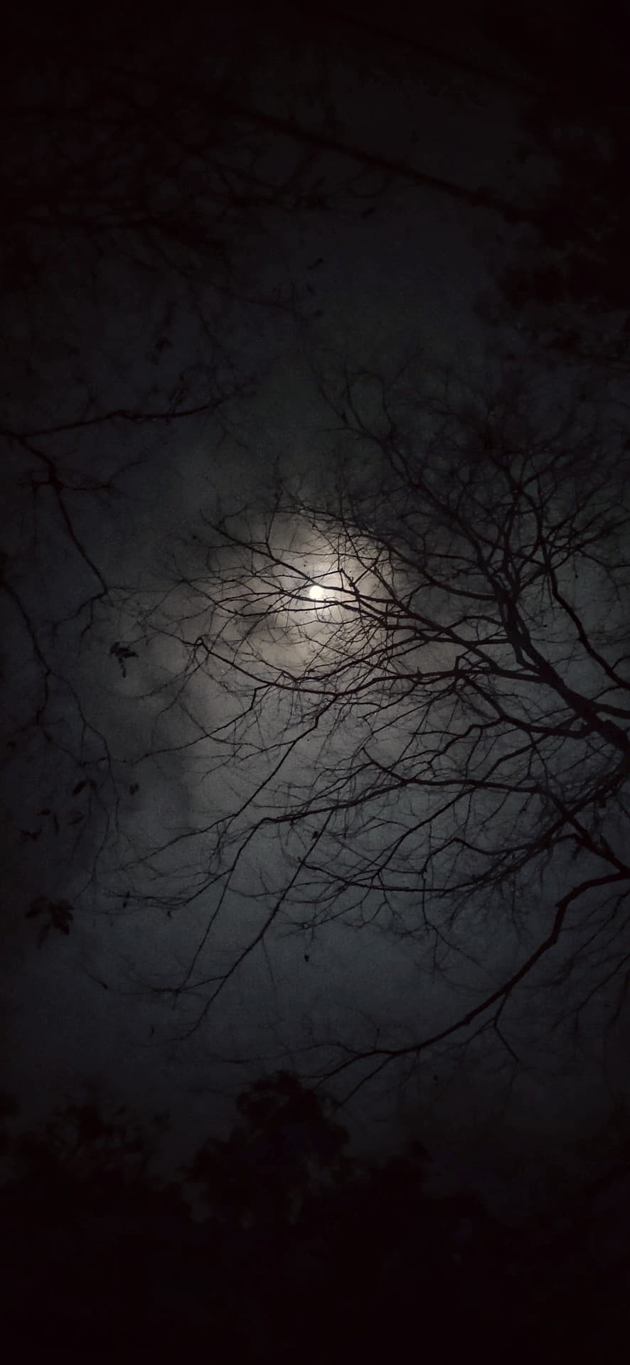 night