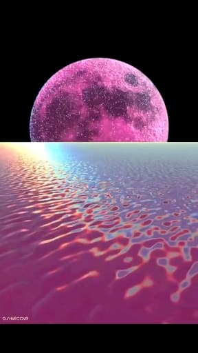 Aesthetic (99)