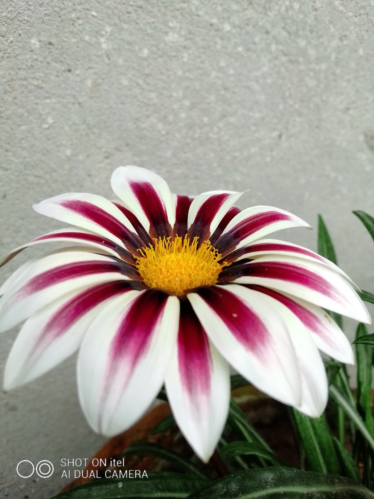 pic by me