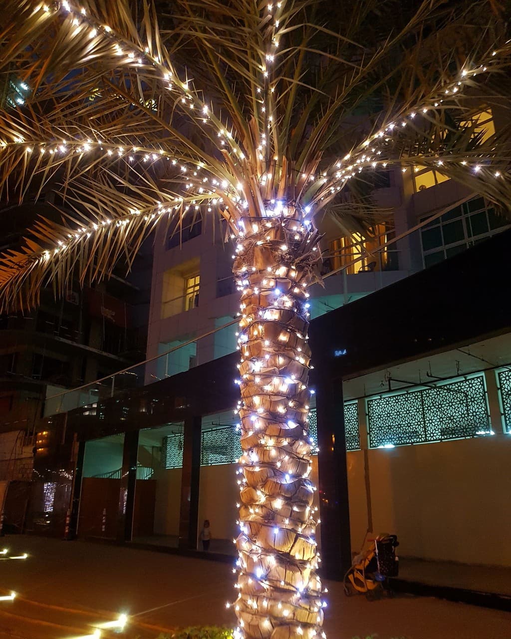 Lights on a palmtree in Dubai
