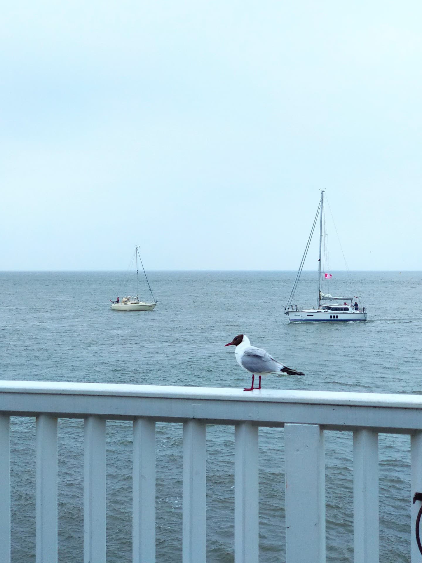 Meer
