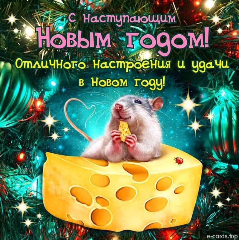 із 2020 роком