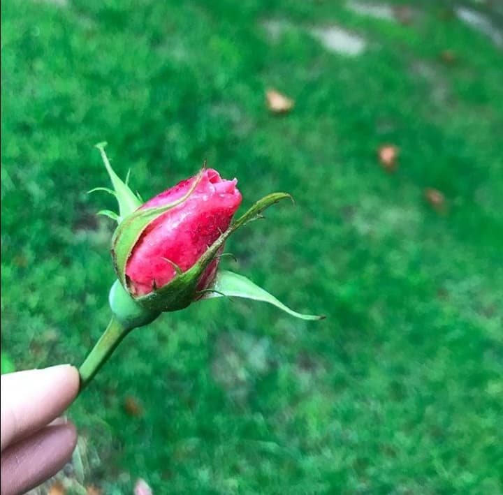???