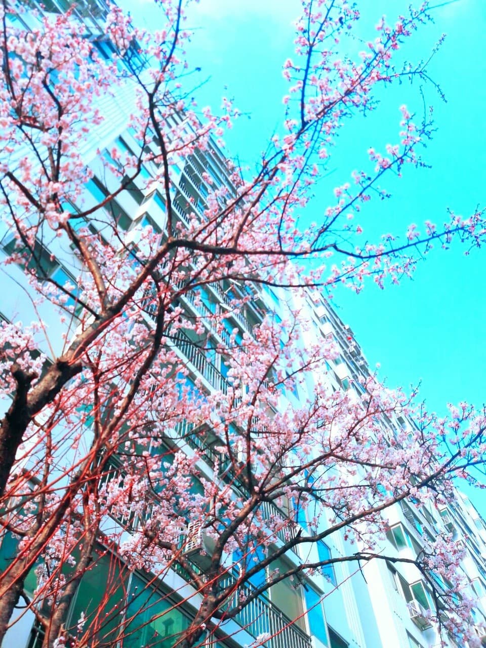 ㆍ