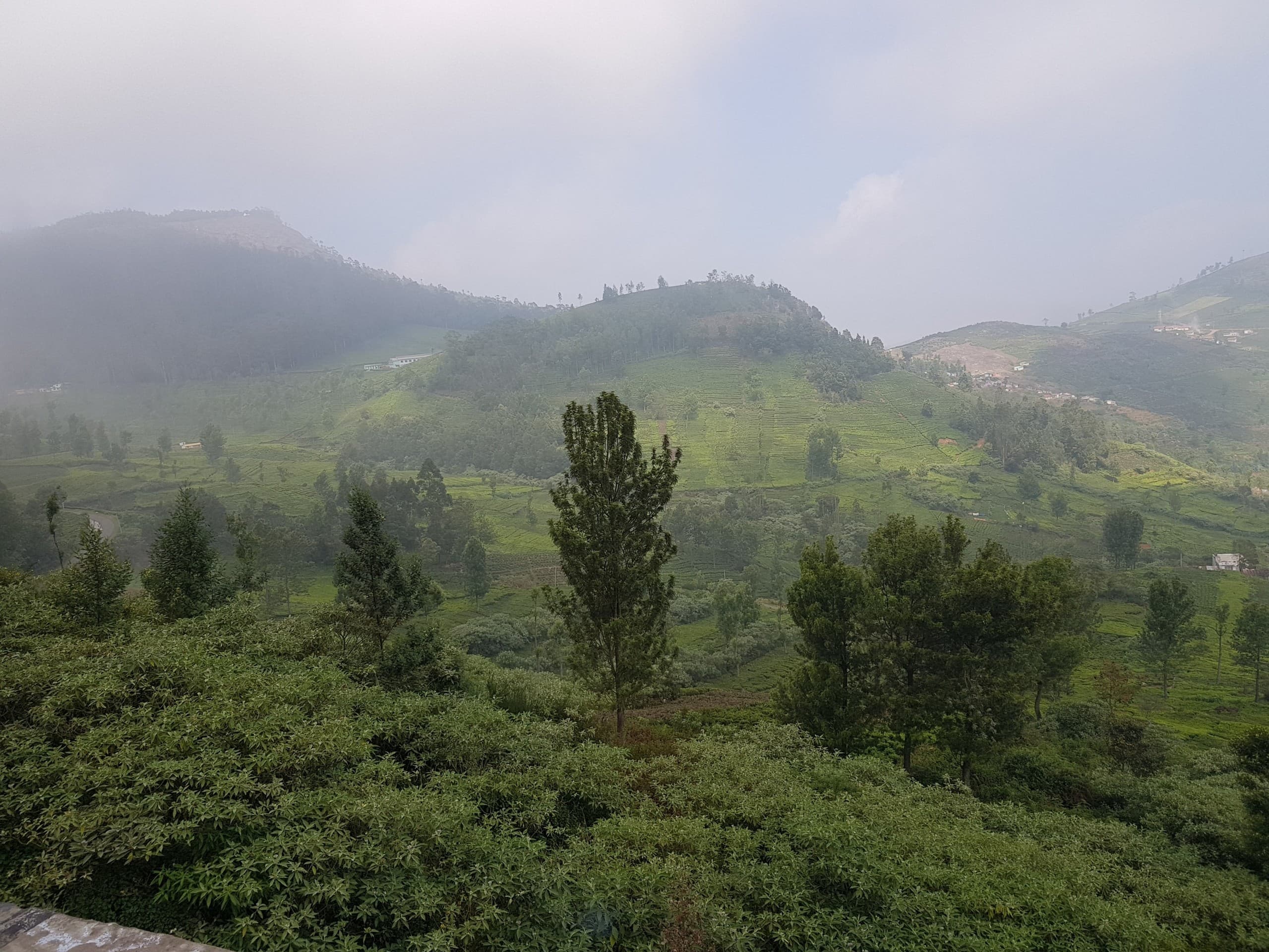 hills