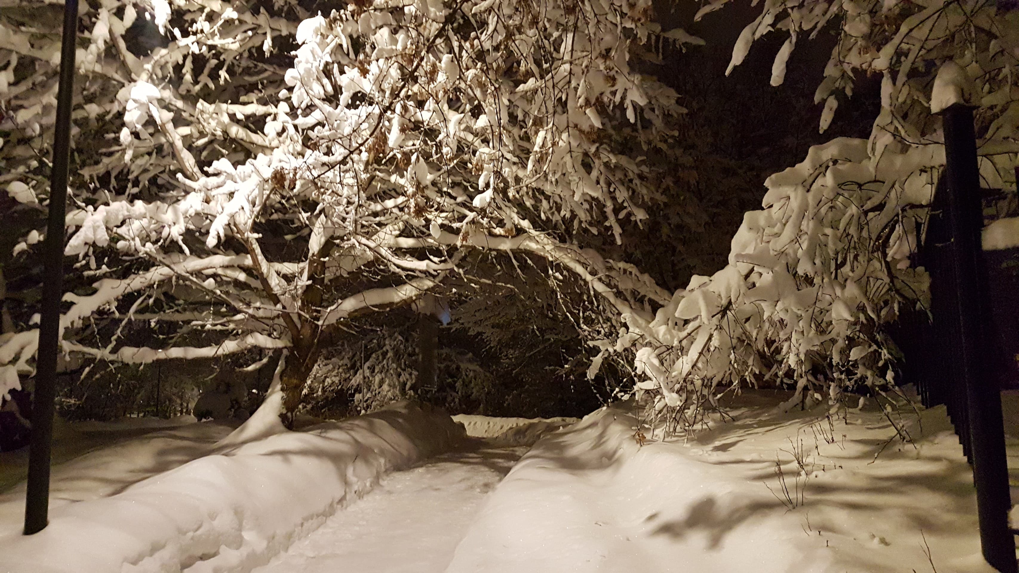 winter path