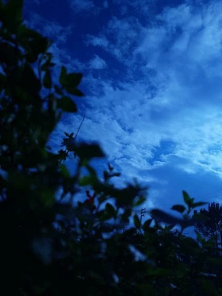 Sky