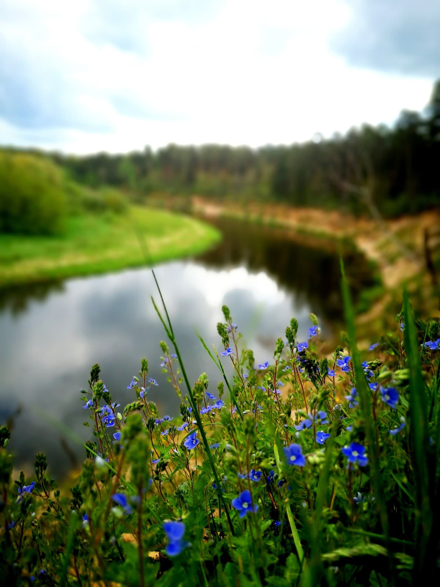 beauty of the nature