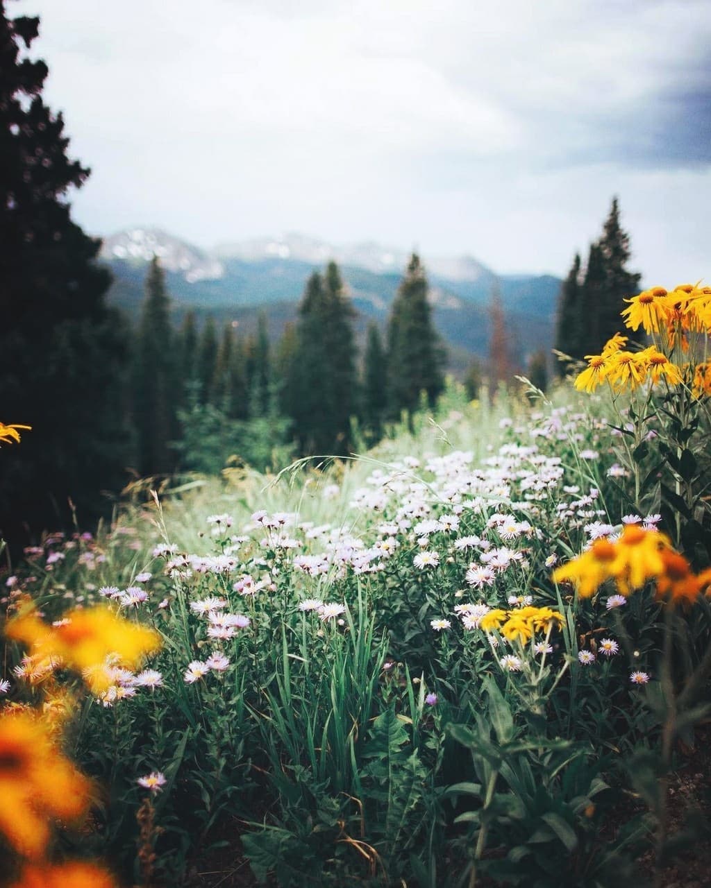 beautiful nature