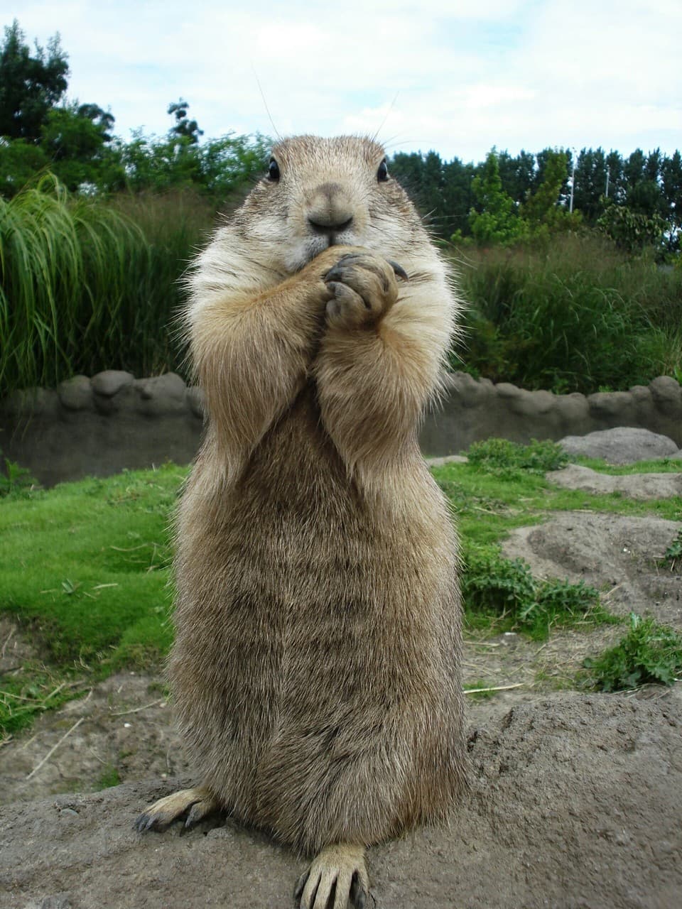 Shh, don't tell anyone